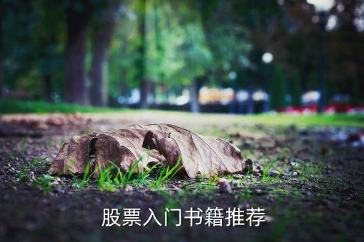  股票入門(mén)書(shū)籍推薦