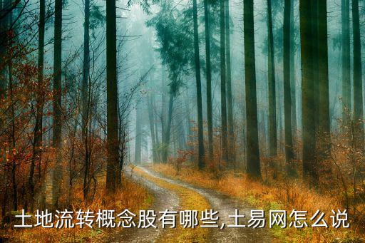 土地流轉(zhuǎn)概念股有哪些,土易網(wǎng)怎么說