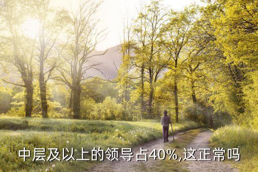 中層及以上的領(lǐng)導(dǎo)占40%,這正常嗎