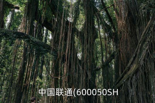  中國聯(lián)通(600050SH