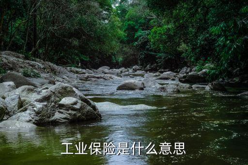 工業(yè)保險(xiǎn)是什么意思