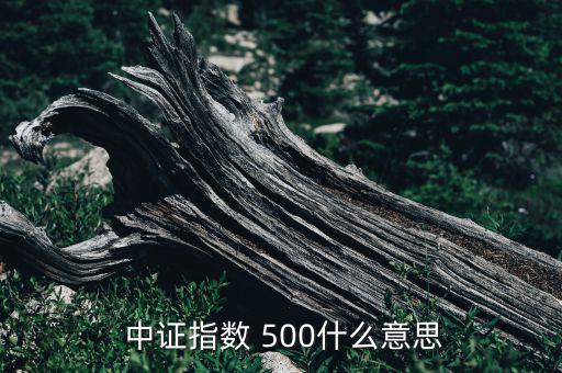  中證指數(shù) 500什么意思