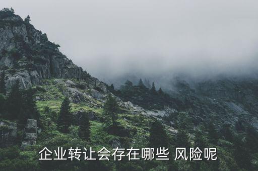 企業(yè)轉(zhuǎn)讓會存在哪些 風(fēng)險(xiǎn)呢