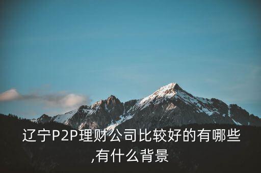  遼寧P2P理財公司比較好的有哪些,有什么背景