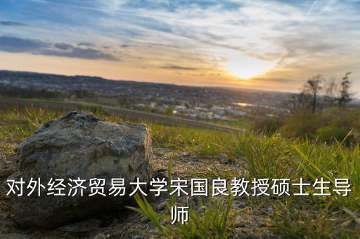 對(duì)外經(jīng)濟(jì)貿(mào)易大學(xué)宋國良教授碩士生導(dǎo)師