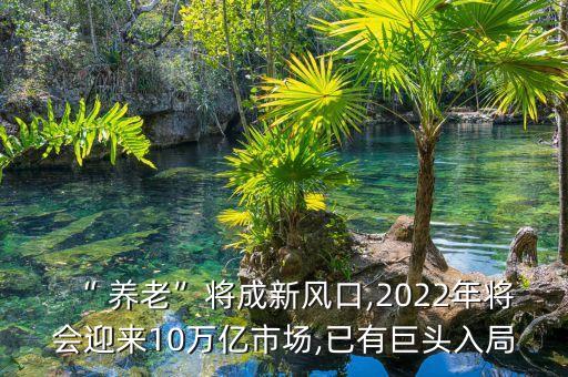 “ 養(yǎng)老”將成新風口,2022年將會迎來10萬億市場,已有巨頭入局