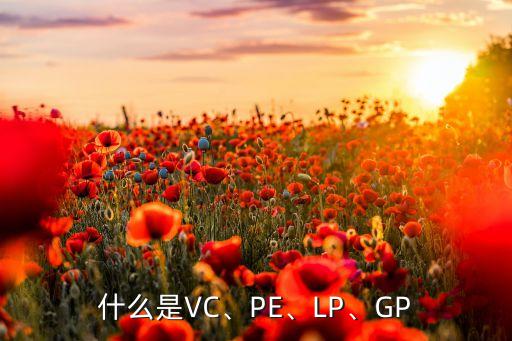 什么是VC、PE、LP、GP