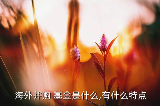  海外并購 基金是什么,有什么特點(diǎn)