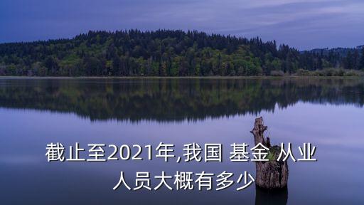 截止至2021年,我國 基金 從業(yè) 人員大概有多少