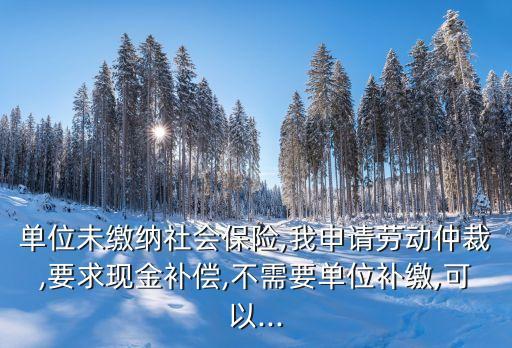 單位未繳納社會保險,我申請勞動仲裁,要求現(xiàn)金補償,不需要單位補繳,可以...