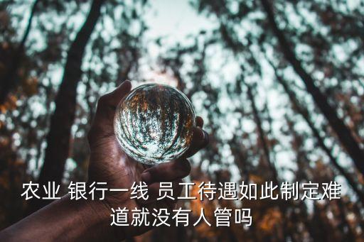 農(nóng)業(yè) 銀行一線 員工待遇如此制定難道就沒有人管嗎