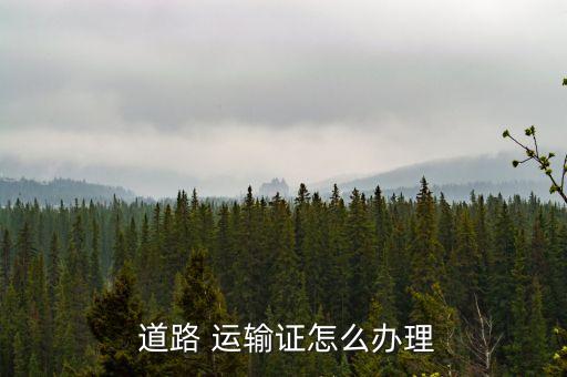 上海道路運(yùn)輸證從業(yè)資格證審證在哪里,上海貨運(yùn)從業(yè)資格證審證地點