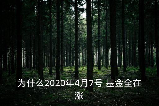 為什么2020年4月7號 基金全在漲