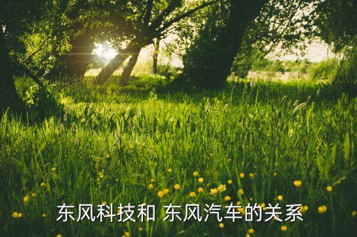 東風(fēng)集團子公司,東風(fēng)汽車股份有限公司