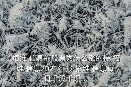  拓維 信息的股票為什么漲的慢 拓維 信息2021年報 拓維 信息每日千股千評...