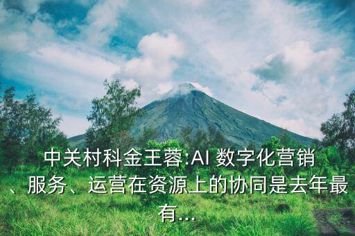  中關村科金王蓉:AI 數字化營銷、服務、運營在資源上的協同是去年最有...