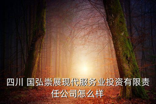 四川 國弘崇展現(xiàn)代服務業(yè)投資有限責任公司怎么樣