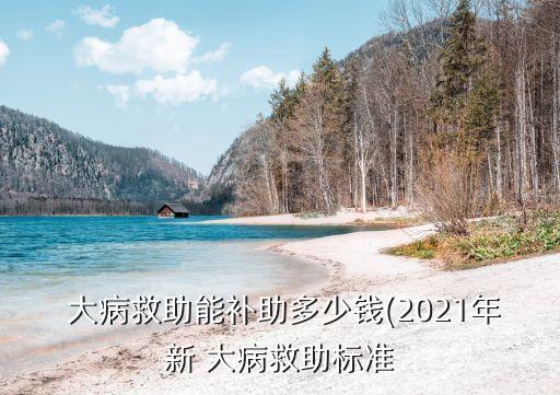  大病救助能補(bǔ)助多少錢(2021年新 大病救助標(biāo)準(zhǔn)