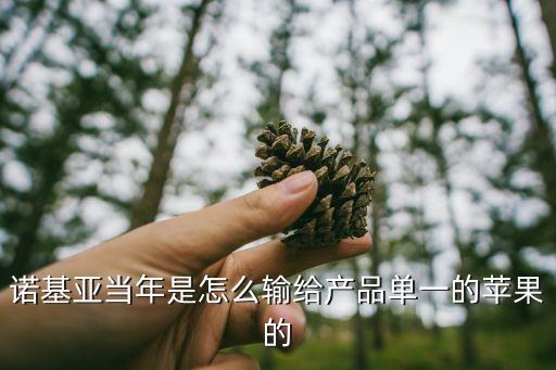 諾基亞公司財(cái)務(wù)狀況分析,財(cái)務(wù)狀況從哪幾個(gè)方面分析