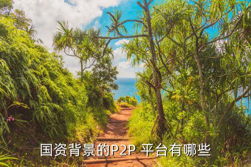 國(guó)資背景的P2P 平臺(tái)有哪些