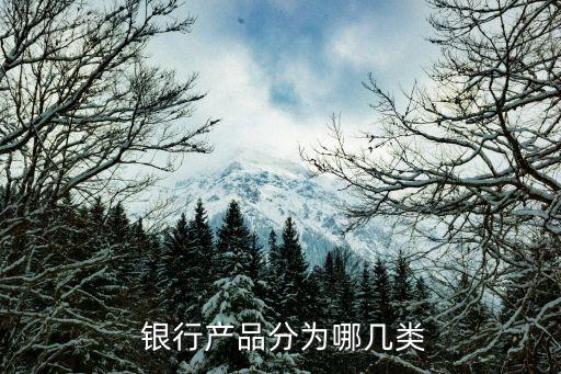 政策性銀行的負債業(yè)務,代理政策性銀行業(yè)務