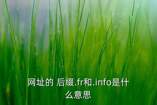 網址的 后綴.fr和.info是什么意思