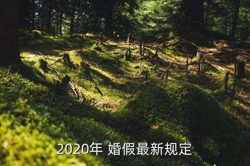 2020年 婚假最新規(guī)定