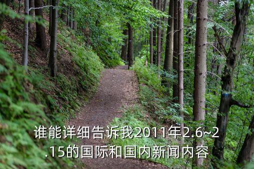 誰能詳細告訴我2011年2.6~2.15的國際和國內(nèi)新聞內(nèi)容