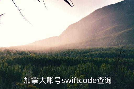  加拿大賬號swiftcode查詢