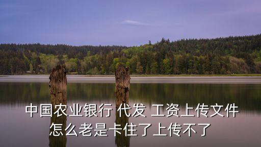  中國(guó)農(nóng)業(yè)銀行 代發(fā) 工資上傳文件怎么老是卡住了上傳不了