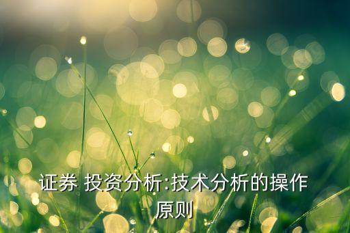  證券 投資分析:技術(shù)分析的操作 原則