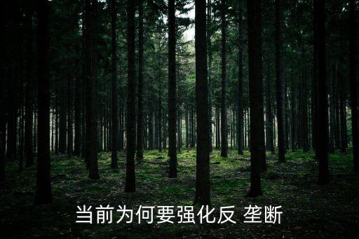 當(dāng)前為何要強(qiáng)化反 壟斷