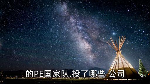 的PE國家隊,投了哪些 公司