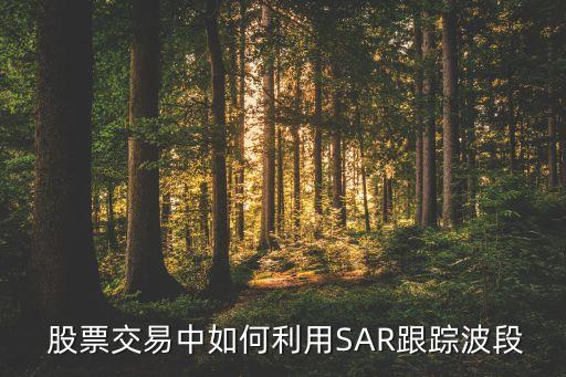 股票sar怎么看,股市sar指標(biāo)怎么看視頻講解