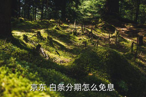 京東 白條分期怎么免息