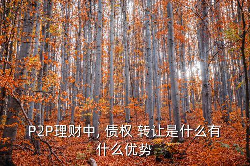 P2P理財(cái)中, 債權(quán) 轉(zhuǎn)讓是什么有什么優(yōu)勢(shì)