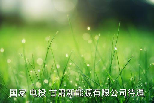 國家 電投 甘肅新能源有限公司待遇