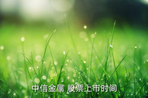 中信金屬 股票上市時間