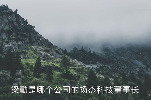 梁勤是哪個(gè)公司的揚(yáng)杰科技董事長(zhǎng)