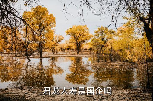 君龍人壽保險(xiǎn)有限公司青島分公司,廈門君龍人壽保險(xiǎn)有限公司