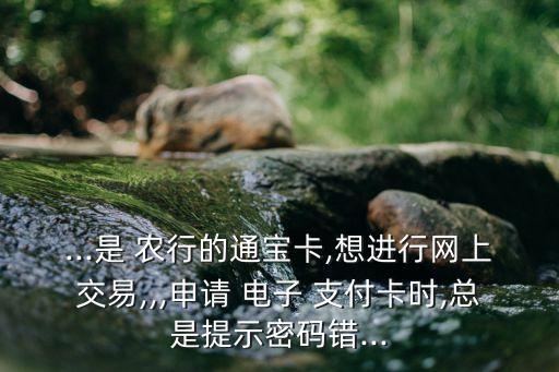 ...是 農(nóng)行的通寶卡,想進行網(wǎng)上交易,,,申請 電子 支付卡時,總是提示密碼錯...