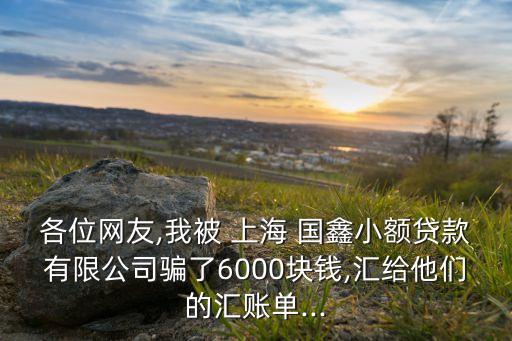 各位網(wǎng)友,我被 上海 國(guó)鑫小額貸款有限公司騙了6000塊錢,匯給他們的匯賬單...