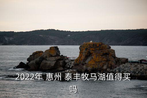 2022年 惠州 泰豐牧馬湖值得買(mǎi)嗎