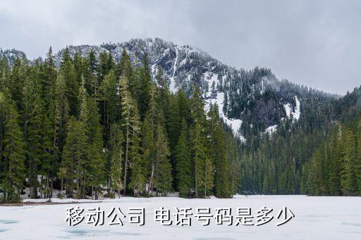 中國移動(dòng)高層電話,潮州中國移動(dòng)分公司高層