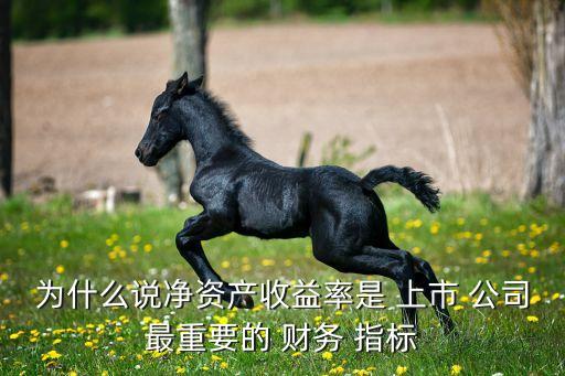 為什么說凈資產(chǎn)收益率是 上市 公司最重要的 財務(wù) 指標