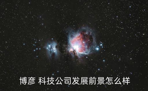  博彥 科技公司發(fā)展前景怎么樣