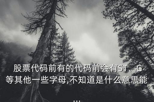  股票代碼前有的代碼前會(huì)有ST、G等其他一些字母,不知道是什么意思能...