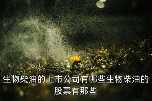 生物柴油的上市公司有哪些生物柴油的股票有那些