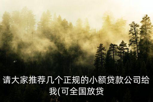 請(qǐng)大家推薦幾個(gè)正規(guī)的小額貸款公司給我(可全國放貸