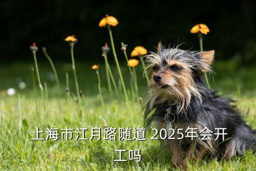 2025年的上海